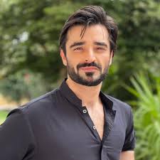 realhamzaaliabbasi